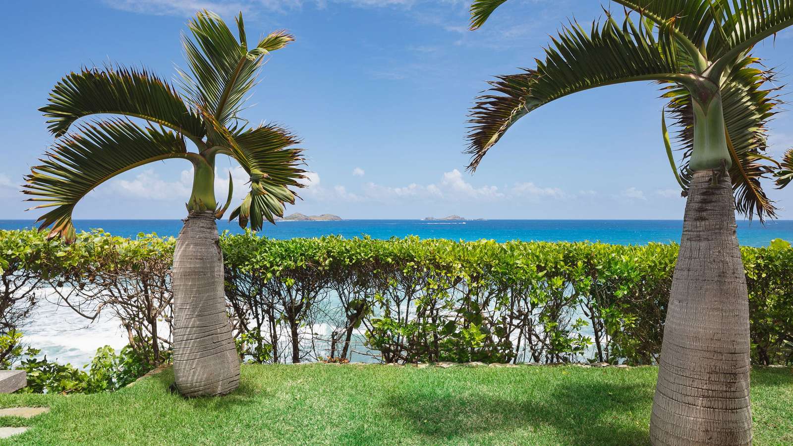 Property image 101