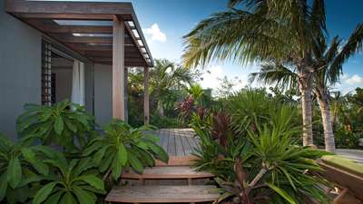 Tropical Gardens