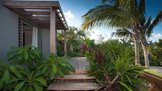 Tropical Gardens