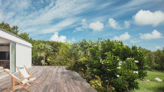Tropical Gardens