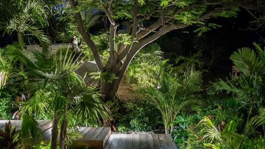 Tropical Gardens