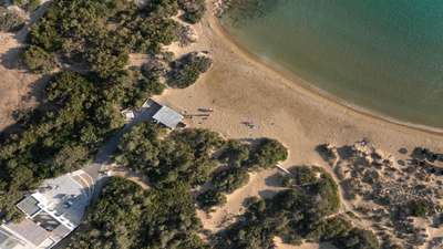 Surrounded By Nature