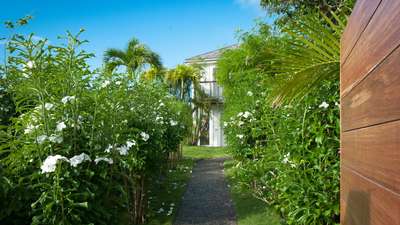 Stone pathway winding through vibrant tropical gardens with white flowers, leading to a chic Caribbean-inspired pavilion.