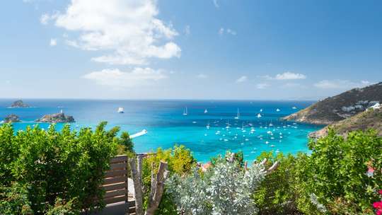 Caribbean Charm