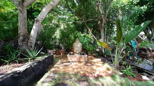 Tropical Gardens