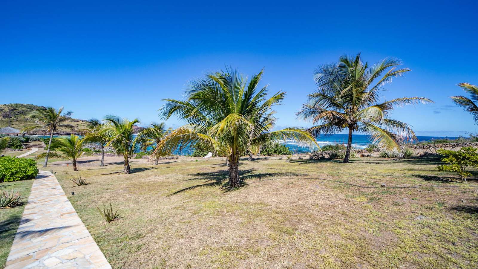 Property image 84