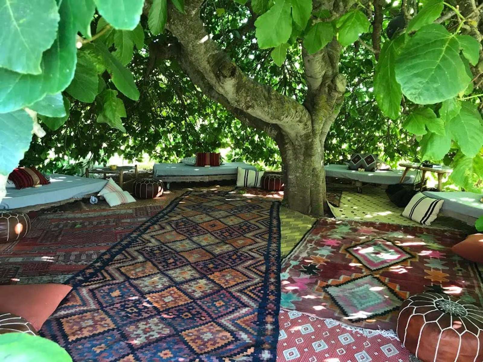 Property image 51