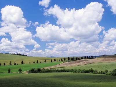 Country Views