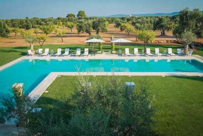 Large Outdoor Swimming Pool