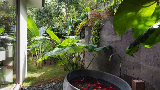 Tropical Gardens