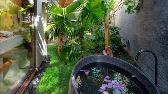 Tropical Gardens