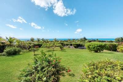 Tranquil Environment