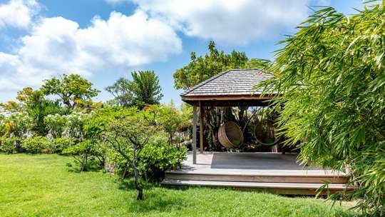 Tranquil Environment