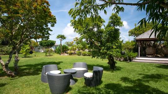 Large Garden