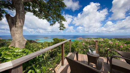 Panoramic Views