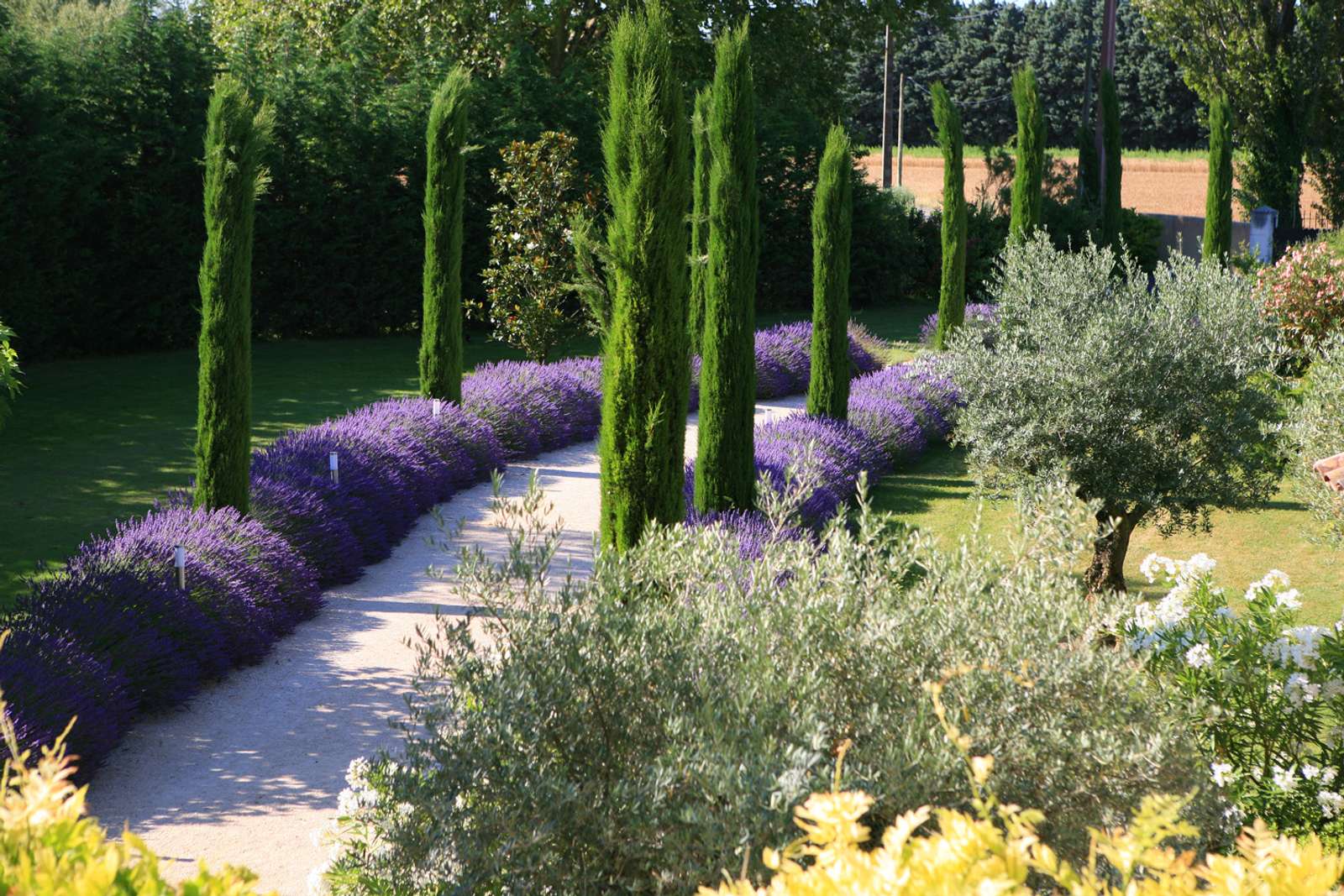 Property image 34