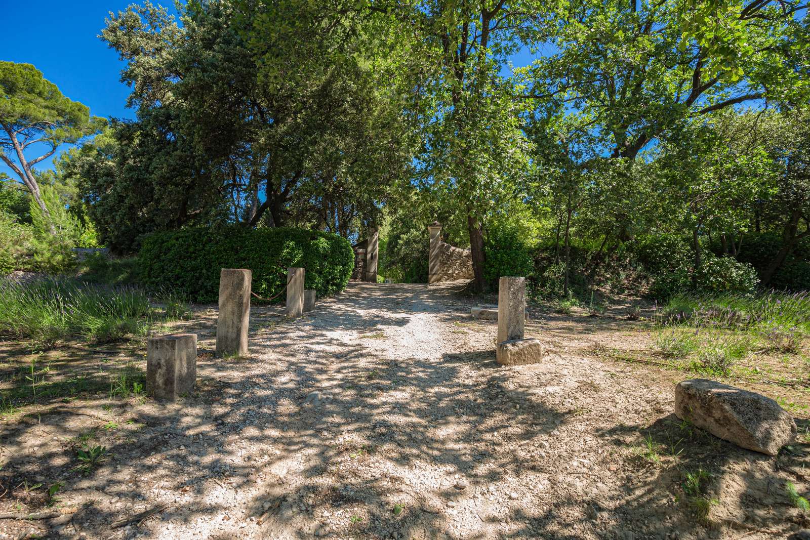 Property image 33