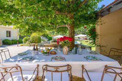 Alfresco Dining