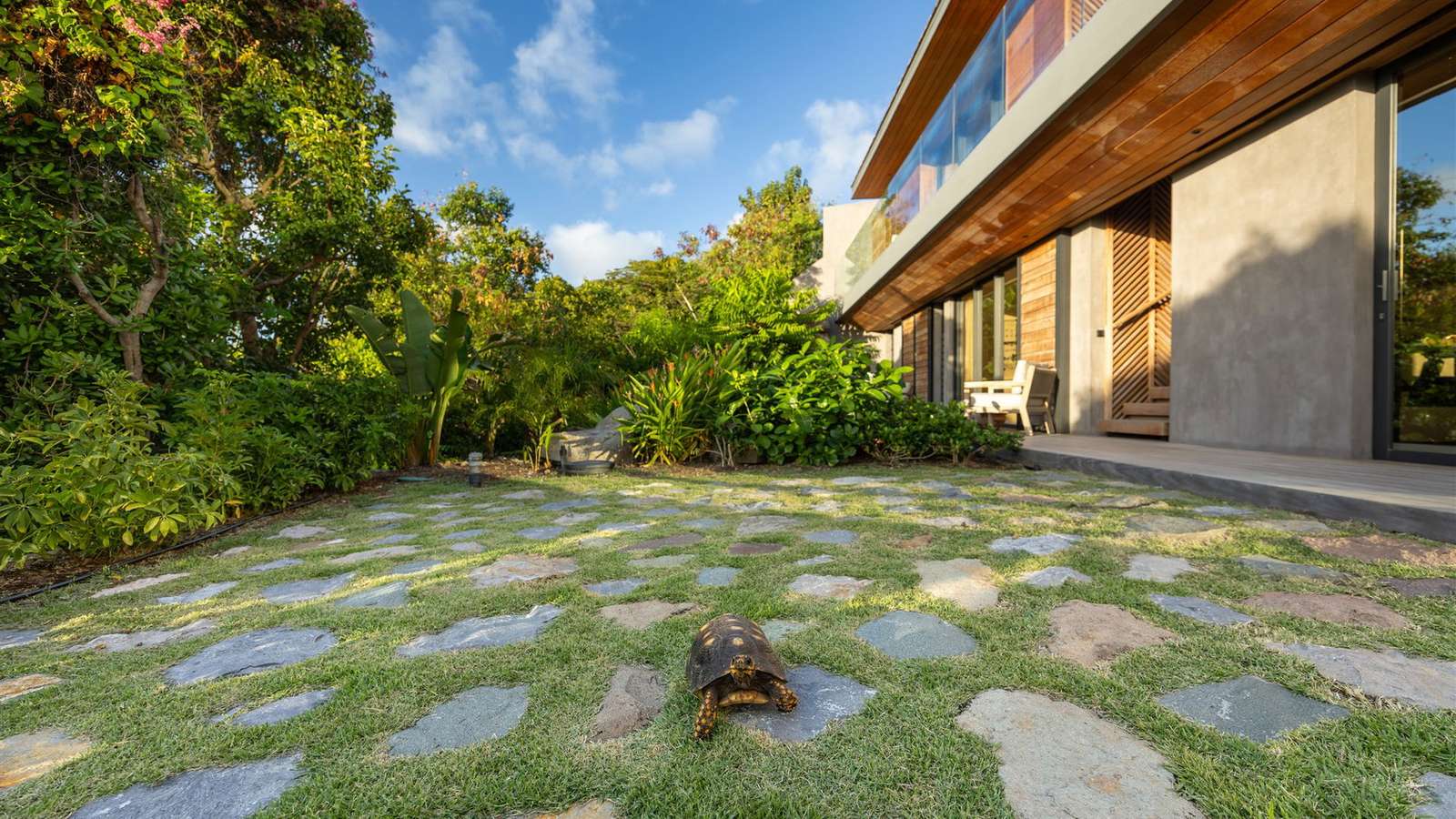 Property image 104