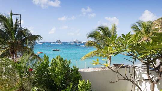Ocean Views