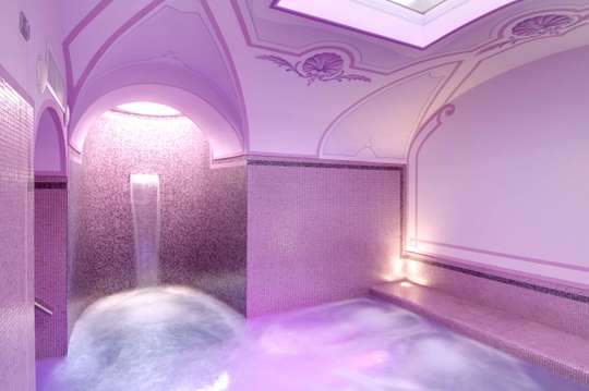 Wellness Spa
