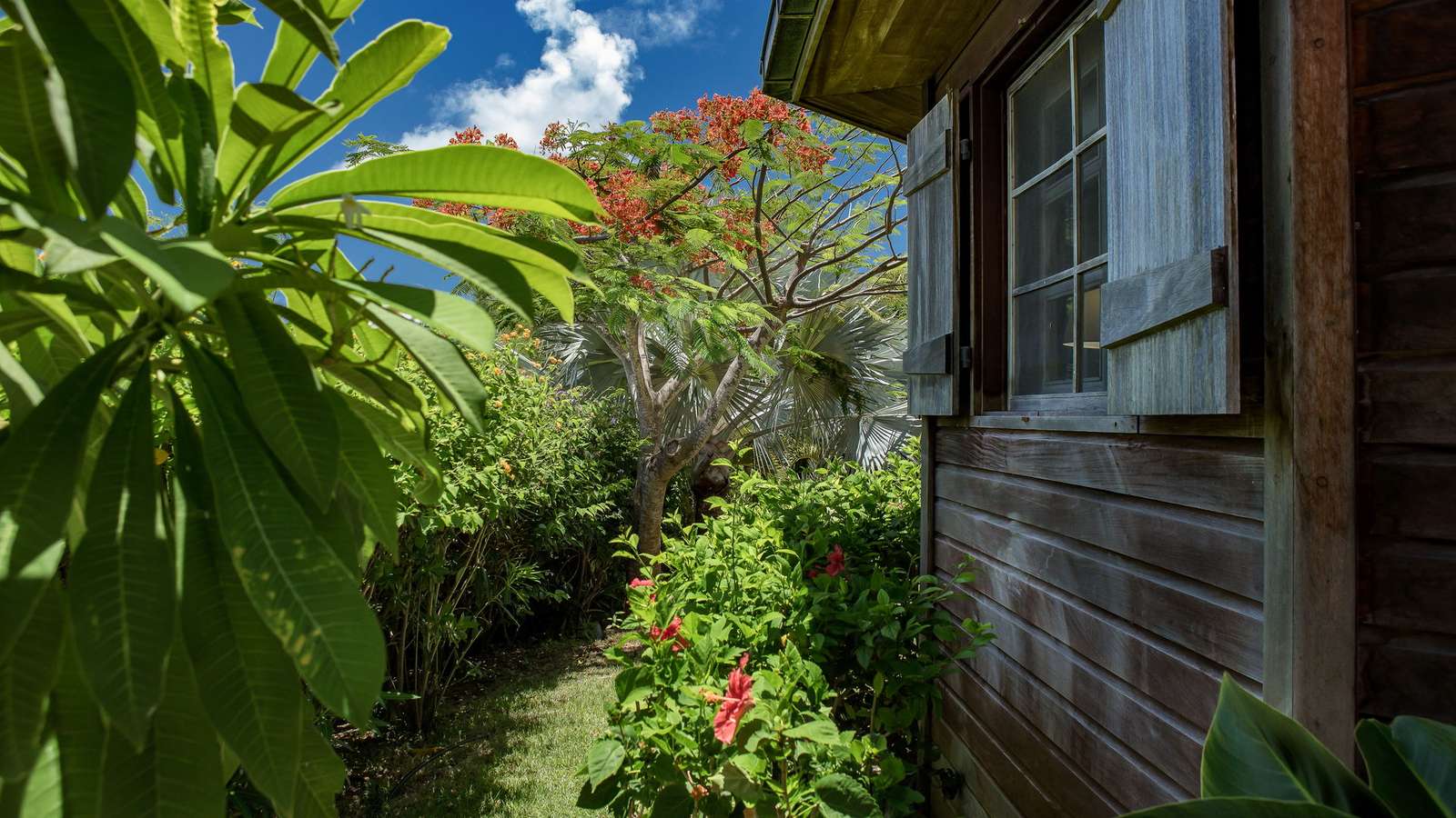 Property image 87