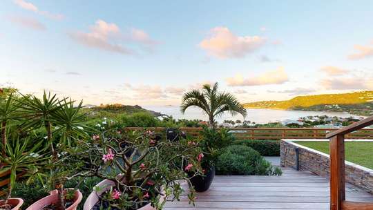 Caribbean Charm