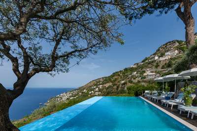 Stunning panoramic infinity edge swimming pool at Villa Nume, framed by an olive tree and overlooking the Amalfi coastline.