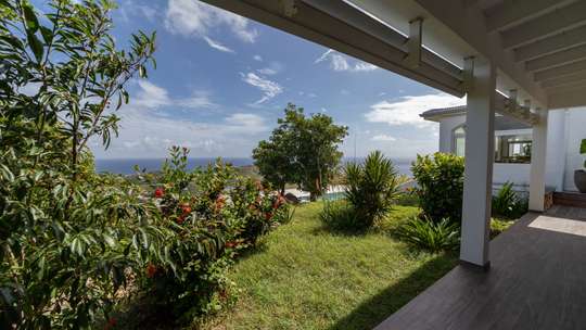 Tropical Gardens