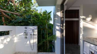 Tropical Gardens