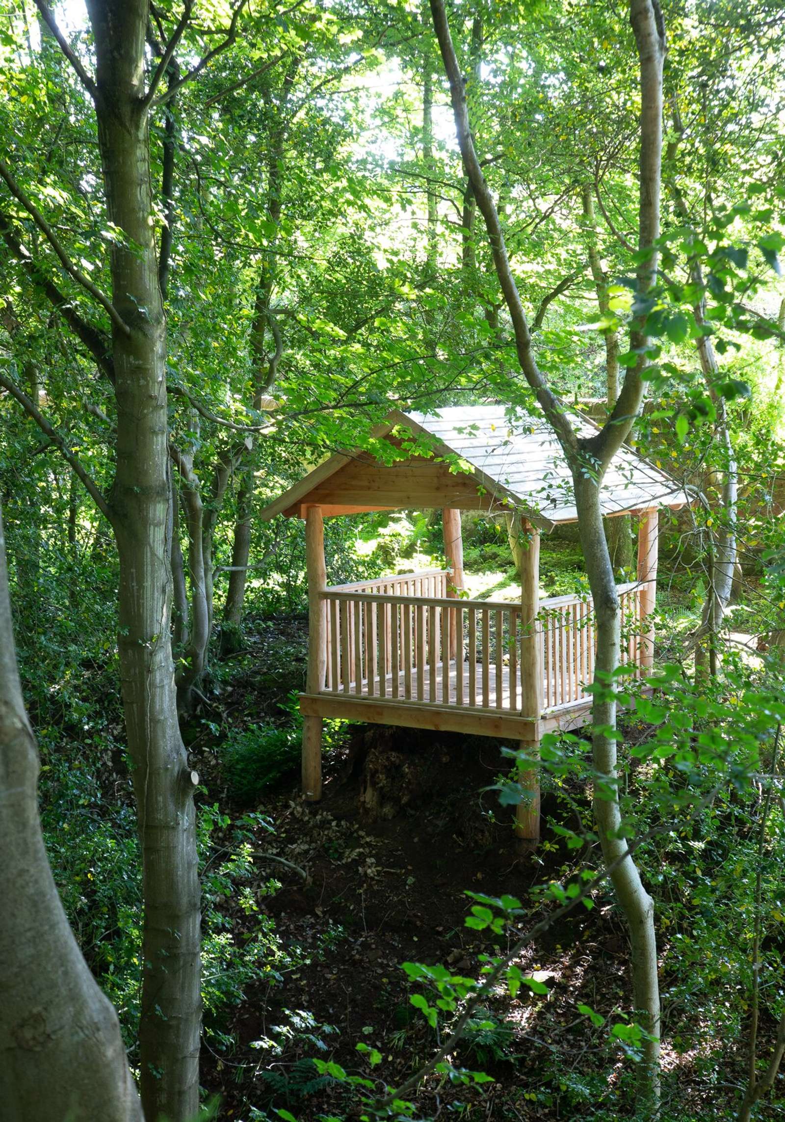 Property image 30
