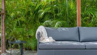 Tropical Gardens