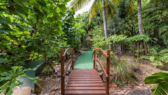 Tropical Gardens