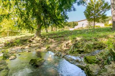 Tranquil Environment