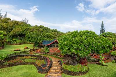 Tropical Gardens