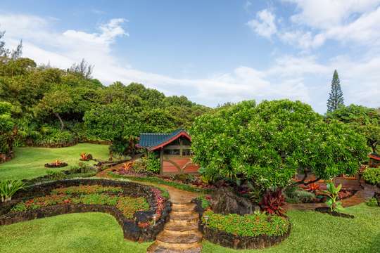 Tropical Gardens