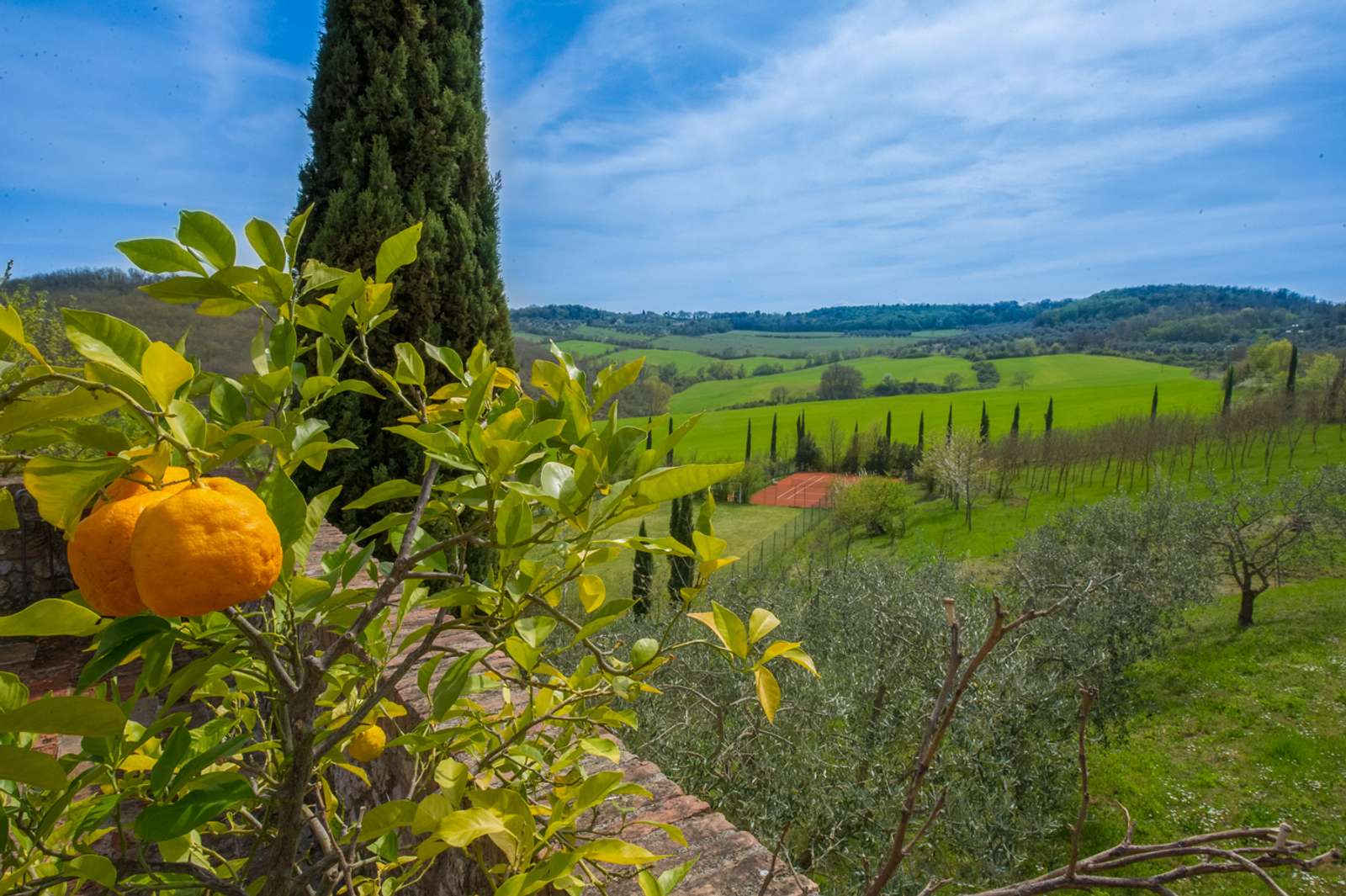 Property image 35