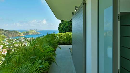 Tropical Gardens