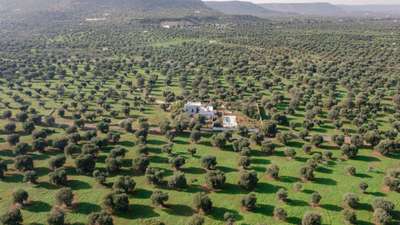 Tranquil Environment