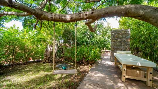 Tranquil Environment