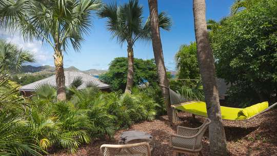 Tropical Gardens