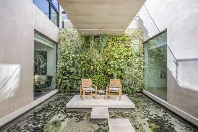 Tranquil Environment