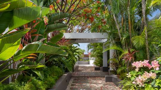 Tropical Gardens
