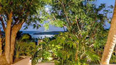 Caribbean Charm