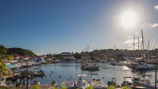 Marina Views