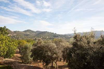 Panoramic Countryside Views