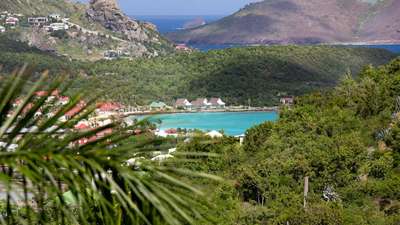 Breathtaking view of St-Jean bay's turquoise waters and lush hillsides, framed by tropical foliage from Ventura Estate.