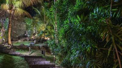 Tropical Gardens