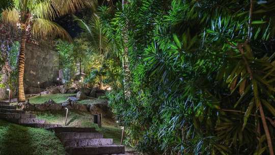 Tropical Gardens