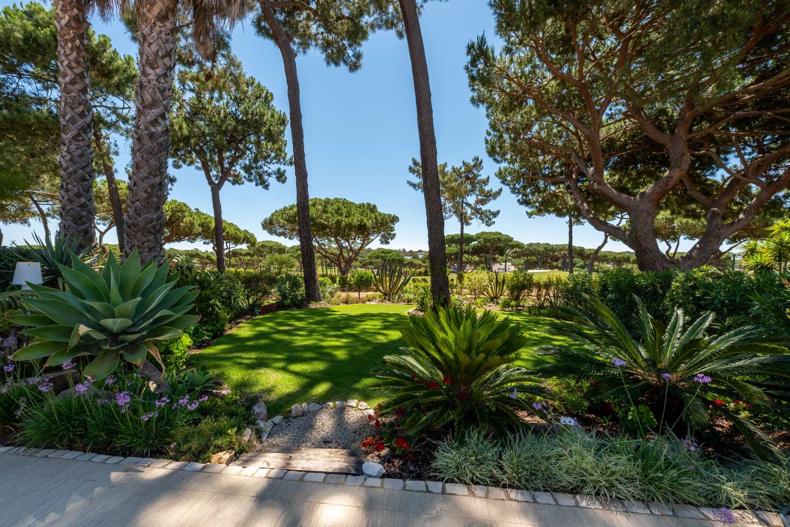 Property image 45